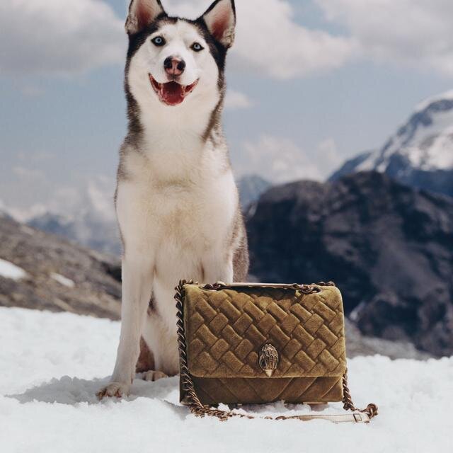 Grote Kensington Kurt-tas Grote Kensington Kurt-tas