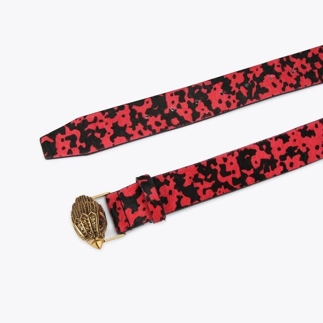 Kensington-riem Kensington-riem