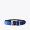 Maddox-riem