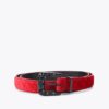 Maddox-riem
