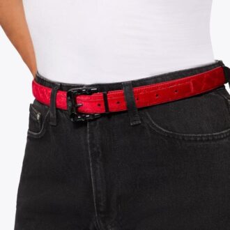 Maddox-riem