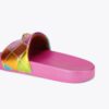 Meena Eagle Slide